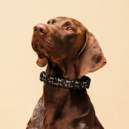 Blossom Hounds - Pet Collar - Real Rad Boutique