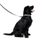 Blossom Hounds - Pet Leash - Real Rad Boutique