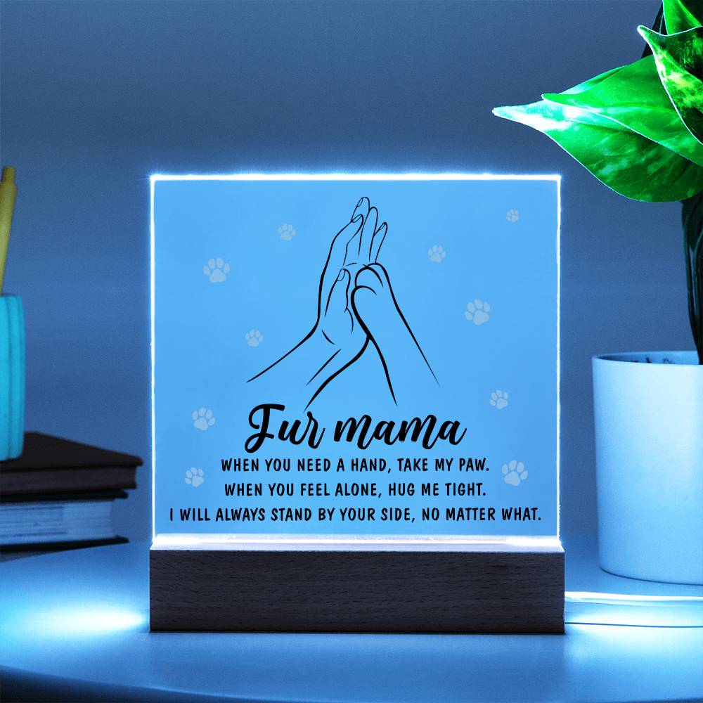 Paws of Love - Acrylic Square Plaque - Real Rad Boutique