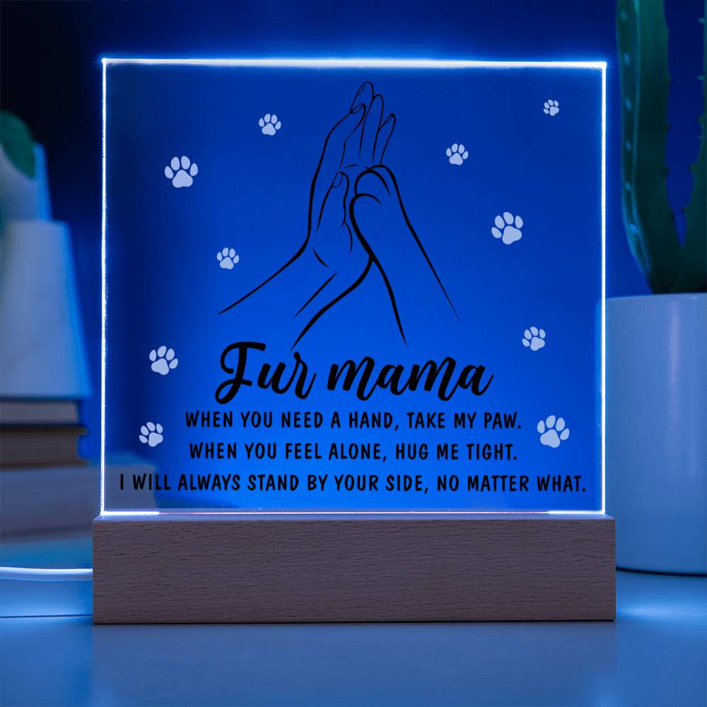 Paws of Love - Acrylic Square Plaque - Real Rad Boutique