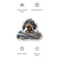 Snuggle Up - Dachshund Pillow - Real Rad Boutique