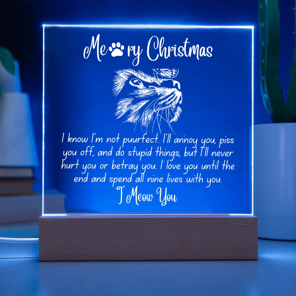 Christmas 'Enduring Feline Love' - Acrylic Square Plaque - Real Rad Boutique