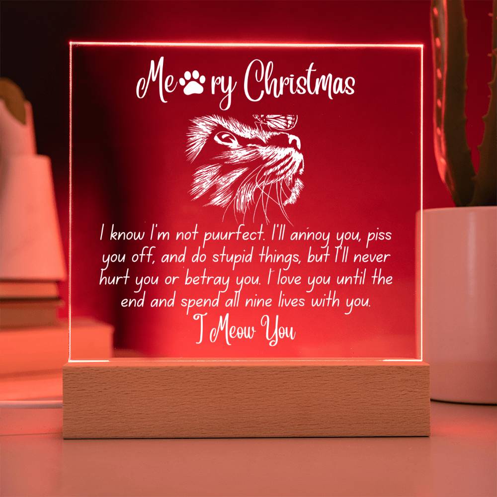 Christmas 'Enduring Feline Love' - Acrylic Square Plaque - Real Rad Boutique