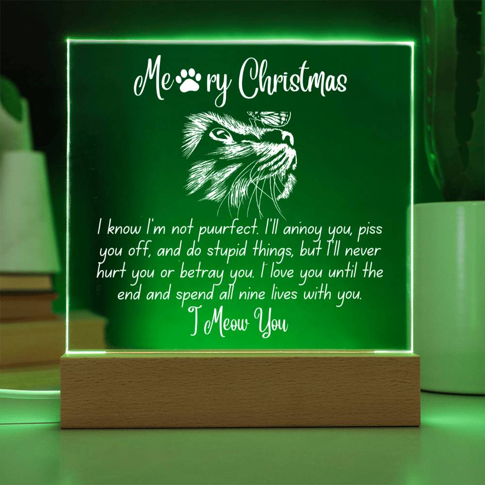 Christmas 'Enduring Feline Love' - Acrylic Square Plaque - Real Rad Boutique