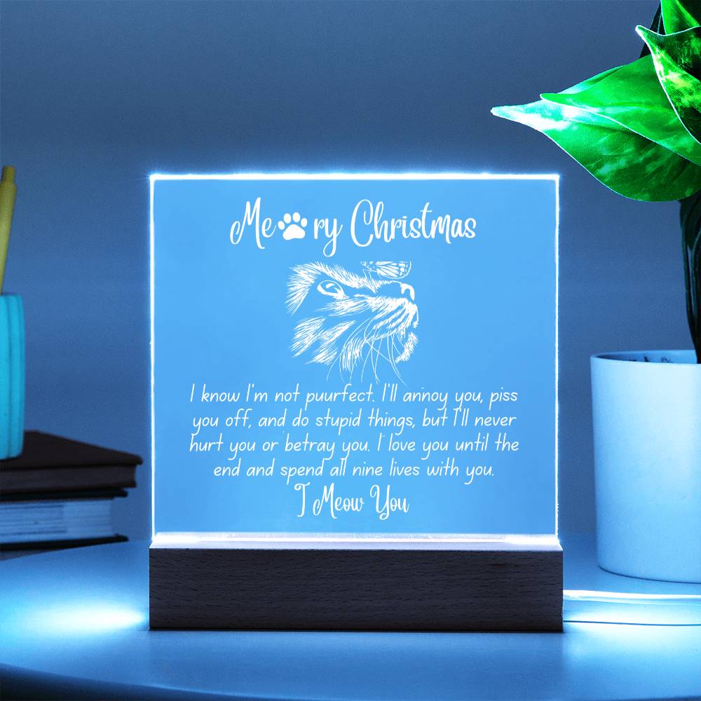 Christmas 'Enduring Feline Love' - Acrylic Square Plaque - Real Rad Boutique