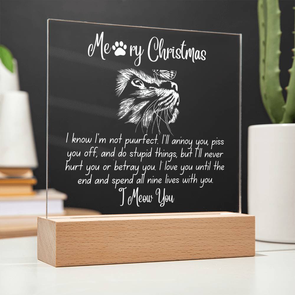 Christmas 'Enduring Feline Love' - Acrylic Square Plaque - Real Rad Boutique