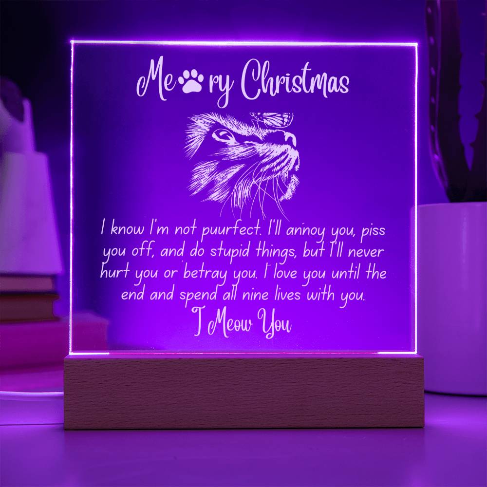 Christmas 'Enduring Feline Love' - Acrylic Square Plaque - Real Rad Boutique